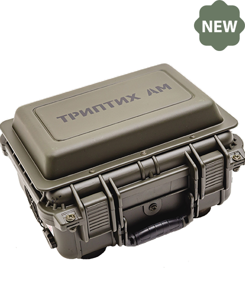 Триптих АМ